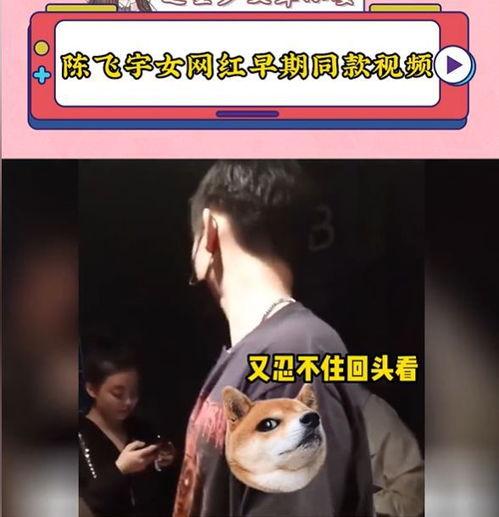 陈飞宇女网红爆料视频,揭秘娱乐圈不为人知的秘密 第1张 陈飞宇女网红爆料视频,揭秘娱乐圈不为人知的秘密 第1张